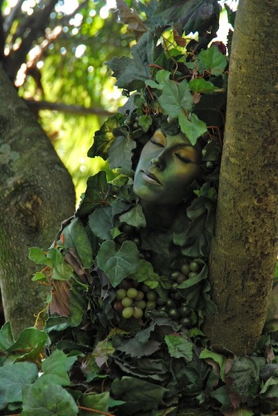 Nature