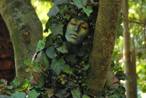 Nature