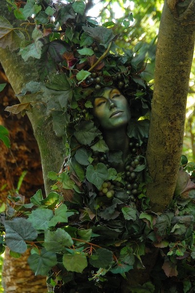 Nature