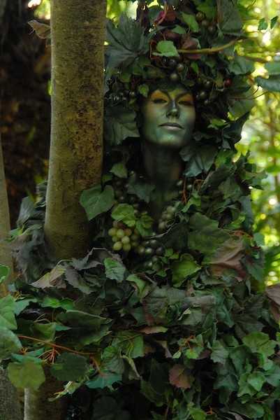 Nature