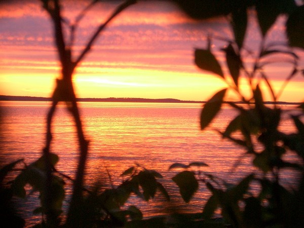 Morning, evening, or afternoon? Its midnight in Northern Europe in last summer. I was with someone.