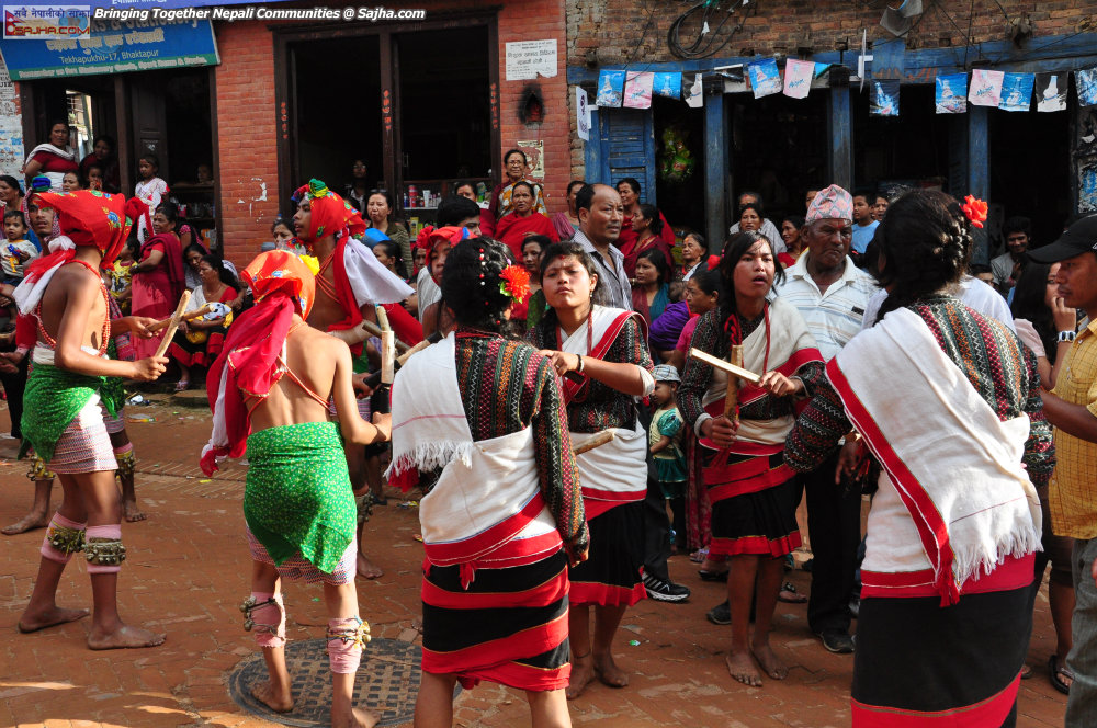 gaijatra 2070