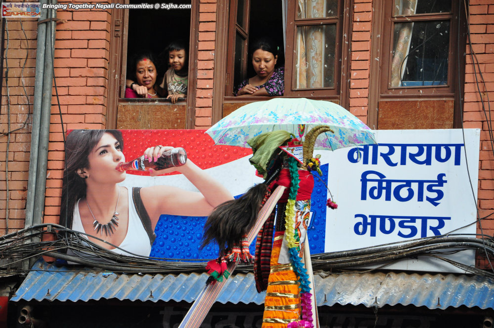 gaijatra 2070