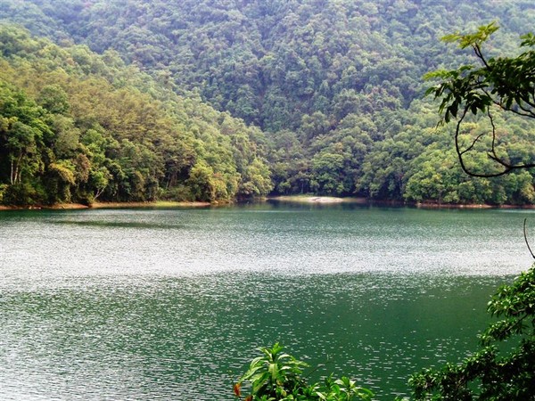 fewa taal