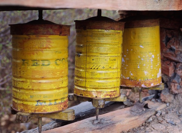 RED COW PRAYER WHEELS