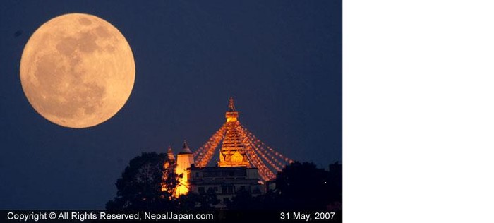 Boston Tamang
