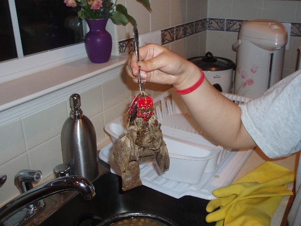chiya for too many people.. end result --> intertwined tea bags