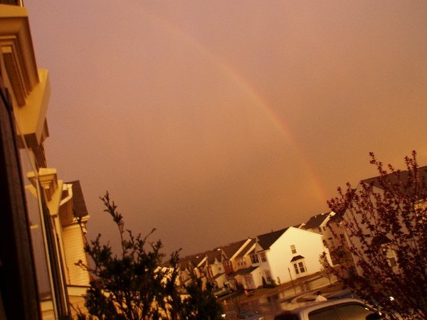 rainbow