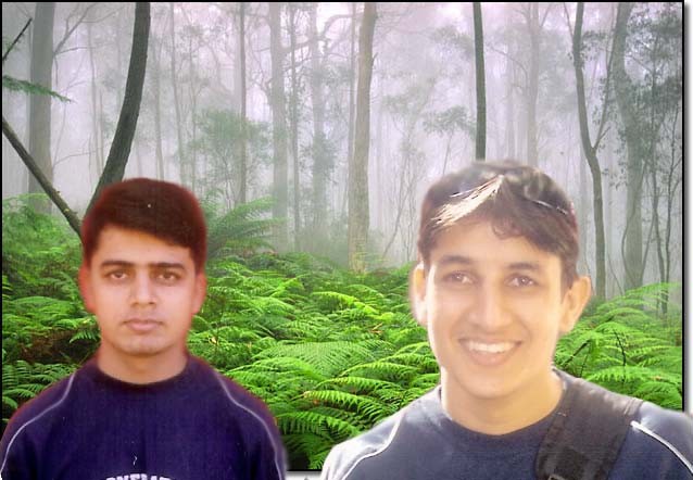manipandey