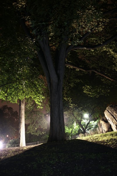 Photographs from New York