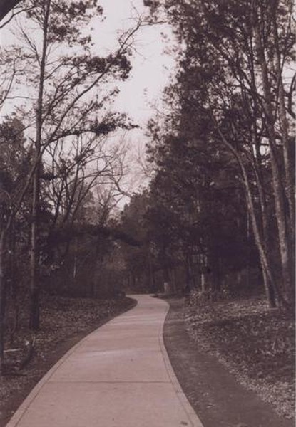 The Long and Winding Road That Leads Me To Your Door. Fall 2003. 