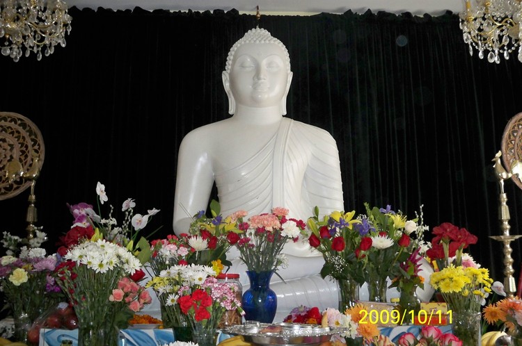 BHUDHA HIHAR IN DC