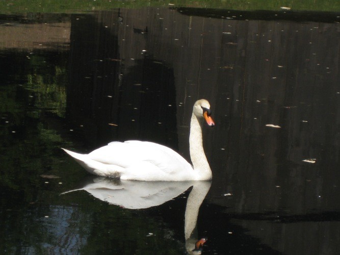 Another Stanley Park
