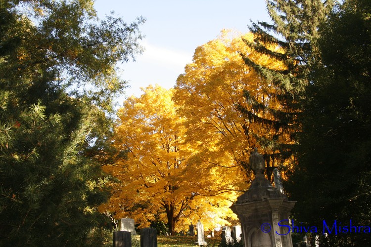 Fall 2009