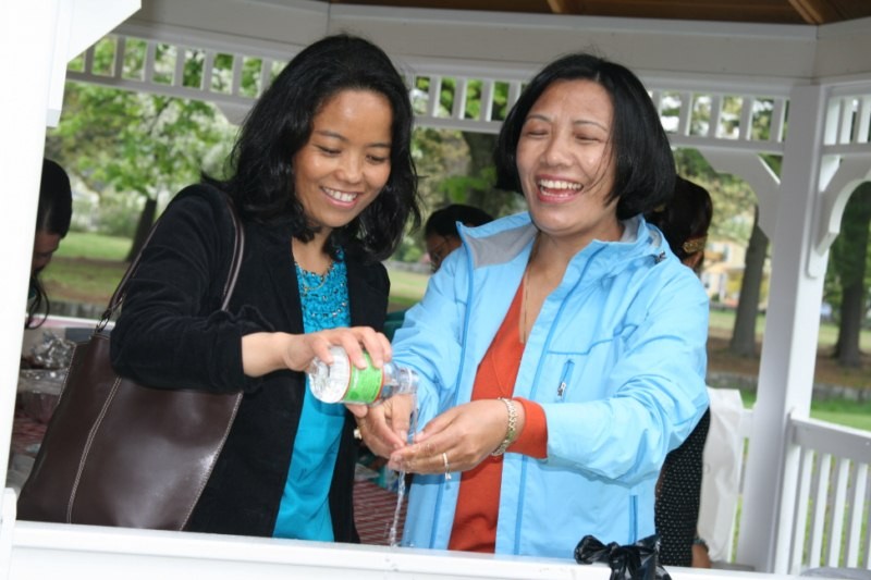Sakewa Programme 2011, New Hamshire