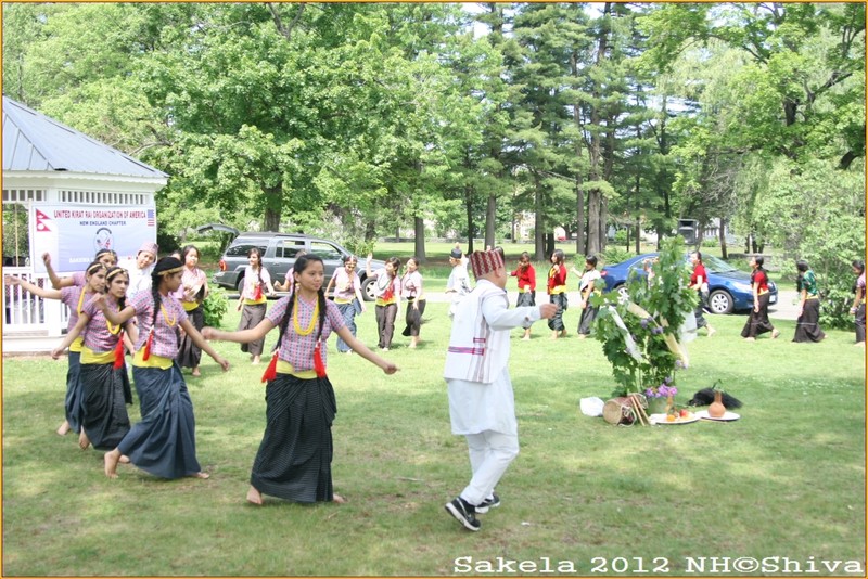 Sakela 2012 NH,