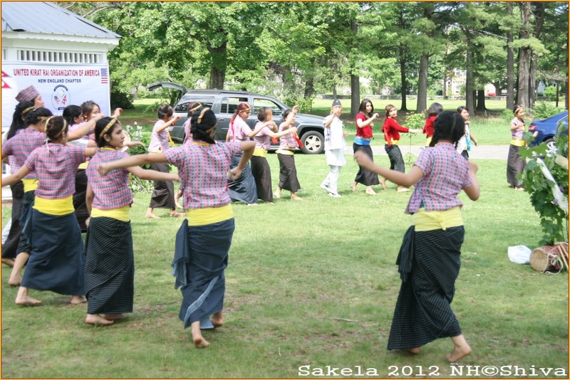 Sakela 2012 NH,