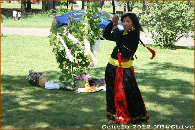 Sakela 2012 NH,