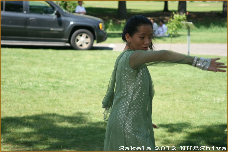 Sakela 2012 NH,