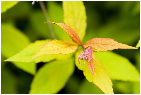 It's easier to process image with a RAW compitable software rather than to be processed by camera. 