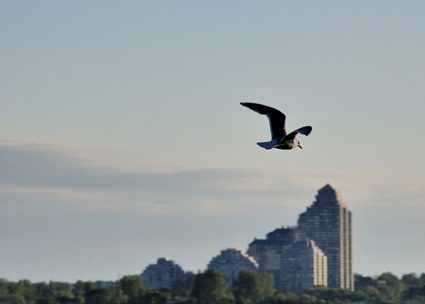 Looking west over Lake Ontario.