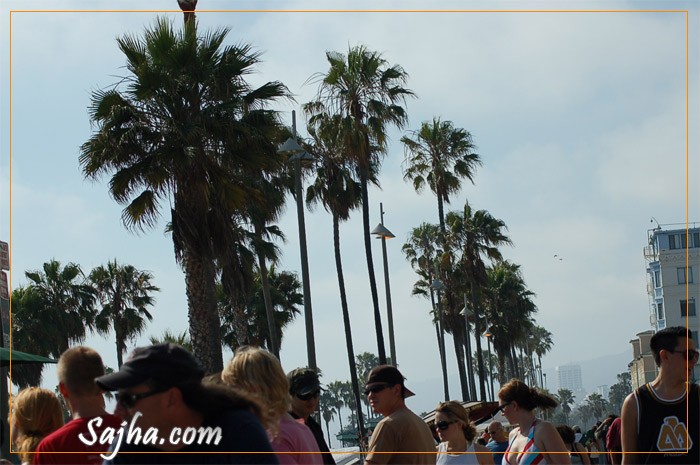 A day in the life of Venice Beach
