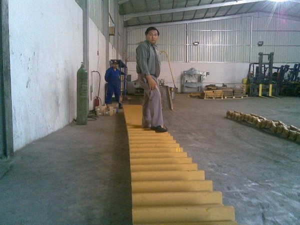 Mr. PASANG RINJEE SHERPA