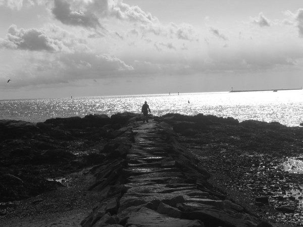 The road less travelled by