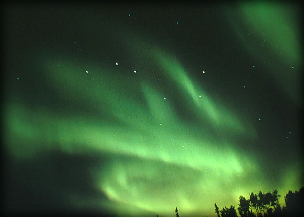 aUrOrA bOrEaLiS