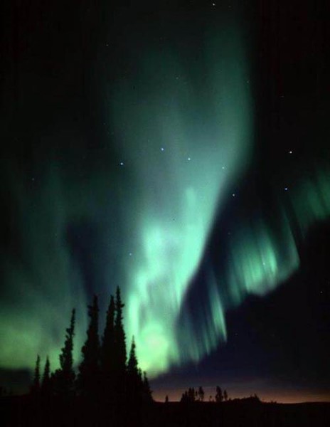 aUrOrA bOrEaLiS