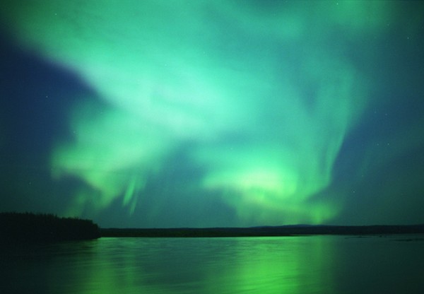 aUrOrA bOrEaLiS