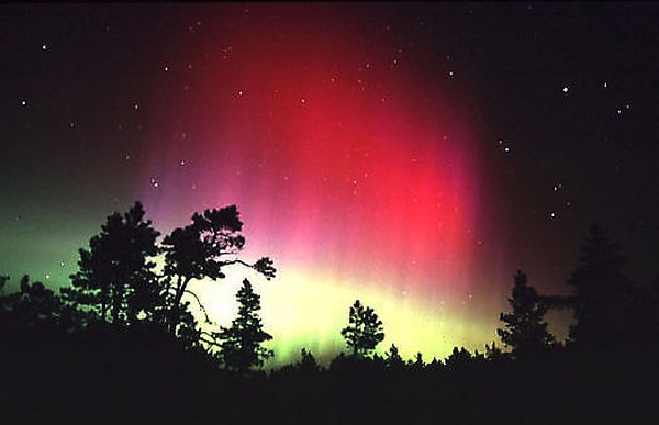 aUrOrA bOrEaLiS