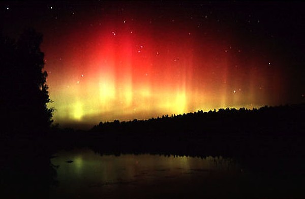 aUrOrA bOrEaLiS