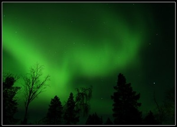 aUrOrA bOrEaLiS