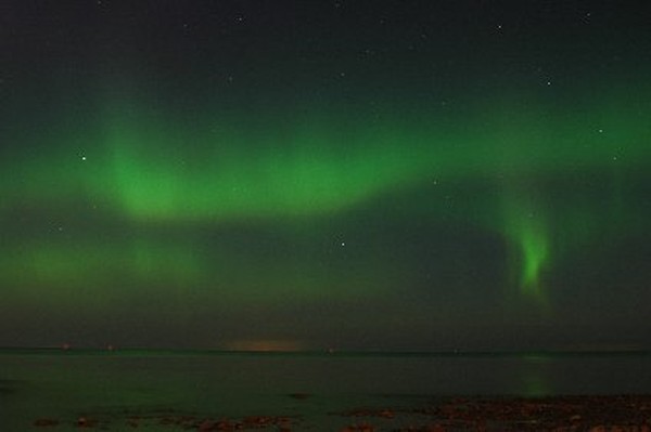 aUrOrA bOrEaLiS