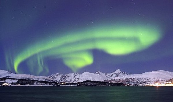 aUrOrA bOrEaLiS
