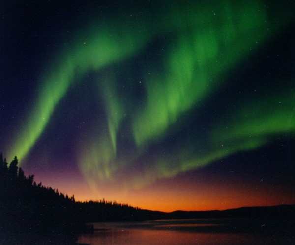aUrOrA bOrEaLiS