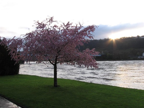 The sunset and the river
