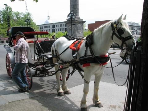 In Montreal