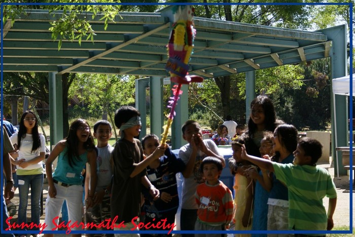 Sunny Sagarmatha Society