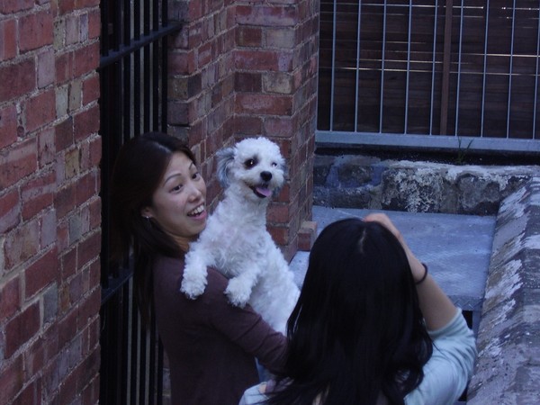 model lucy with 2 japanese assistant
