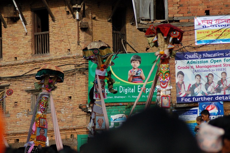 Gaijatra 2011 bkt