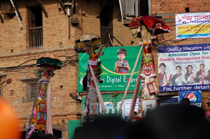 Gaijatra 2011 bkt