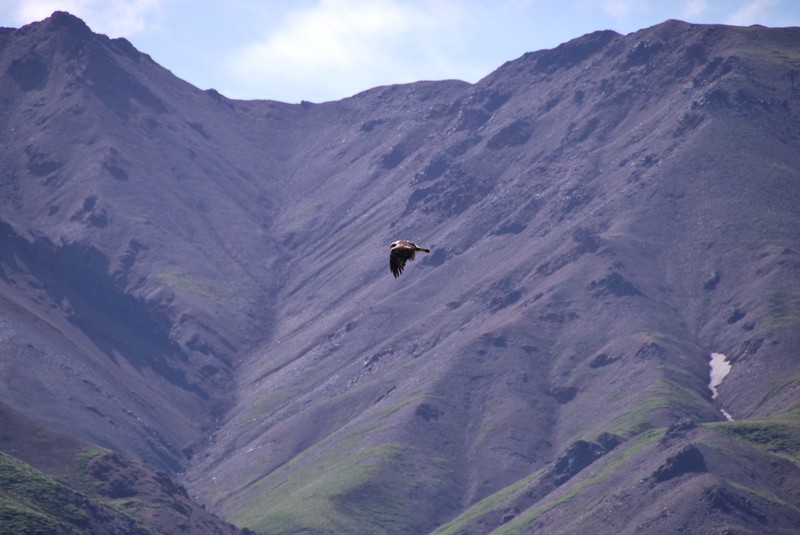 Alaska