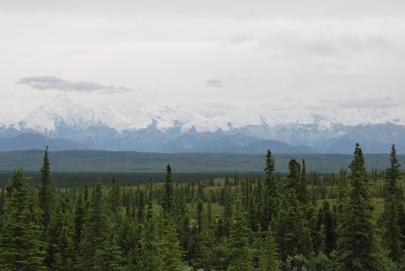 Alaskan Range from Wonder Lake, Denali National Park