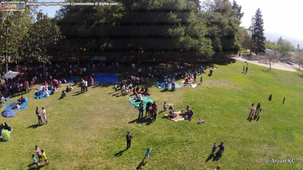 2072 Picnic at Sunnyvale, CA