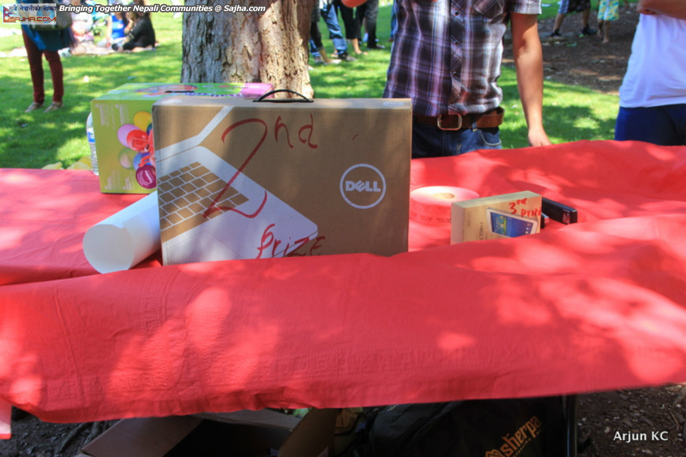 New year 2071 Sunnyvale Picnic