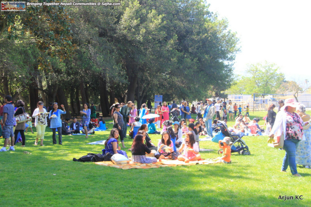 New year 2071 Sunnyvale Picnic