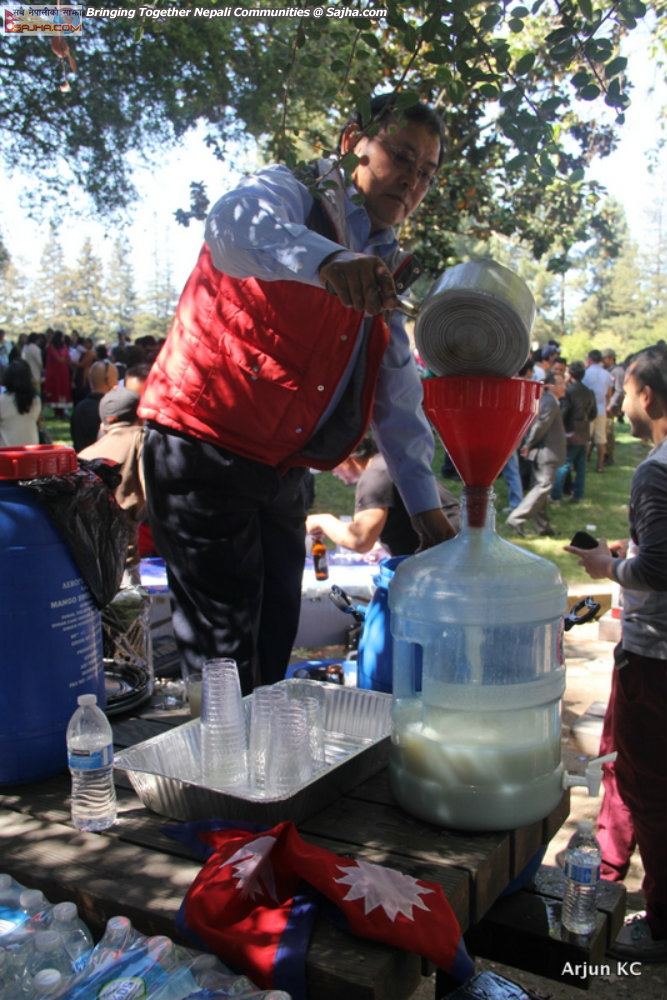 New year 2071 Sunnyvale Picnic