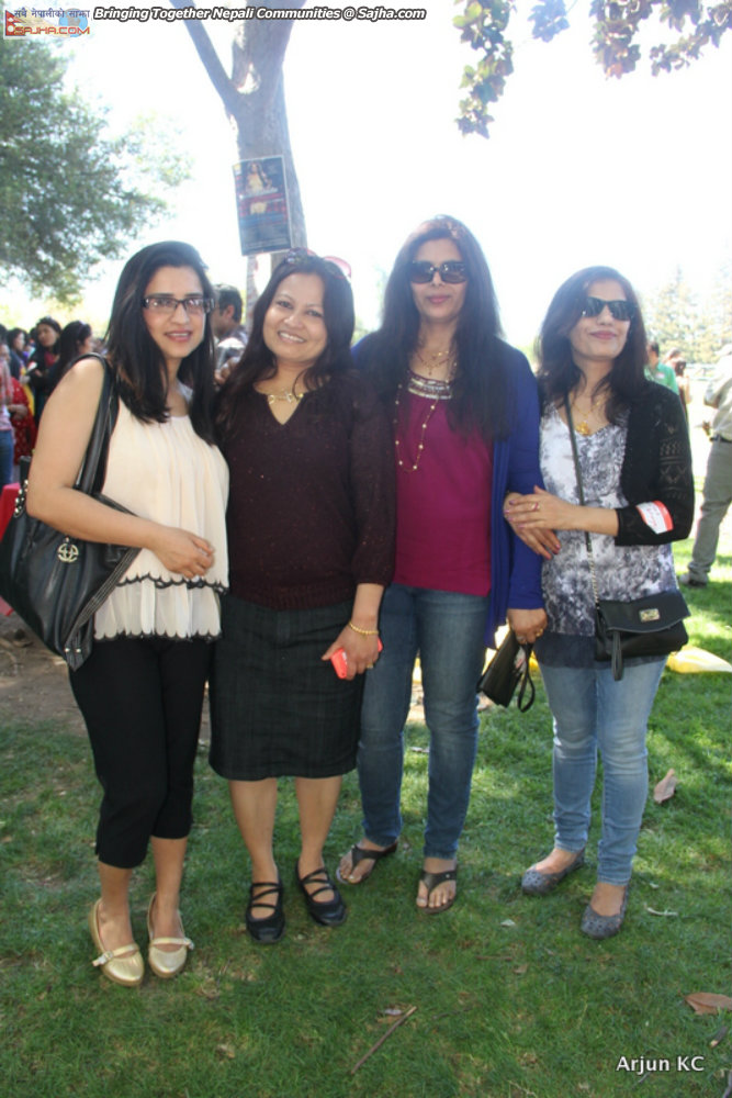 New year 2071 Sunnyvale Picnic